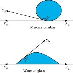 NCERT Solutions Class 11 Physics Chapter 9 - Mechanical Properties of Fluids